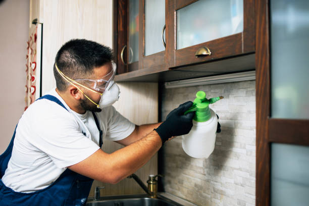 Best Affordable Pest Control Services  in Big River, CA