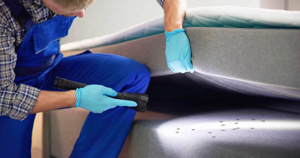 Best Pest Inspection Near Me  in Big River, CA