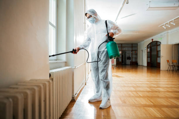 Best Local Pest Control Services  in Big River, CA