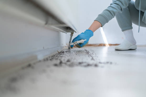 Best Exterminator Services  in Big River, CA