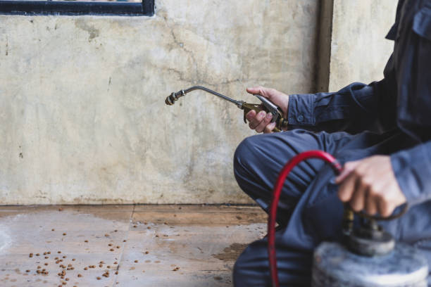 Best Pest Removal Services  in Big River, CA